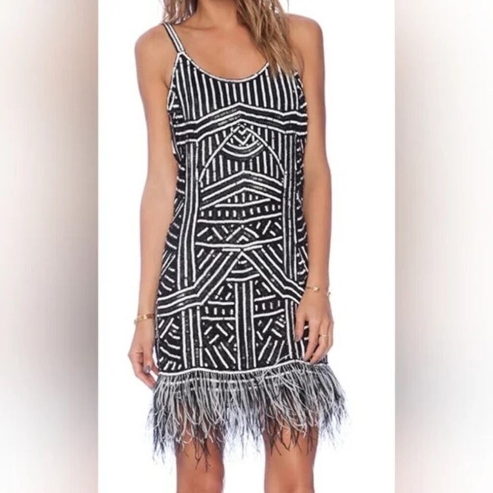 Parker Hayden Beaded Sequin Geometric Feather 100% Silk Dress Size Medium - Picture 2 of 6